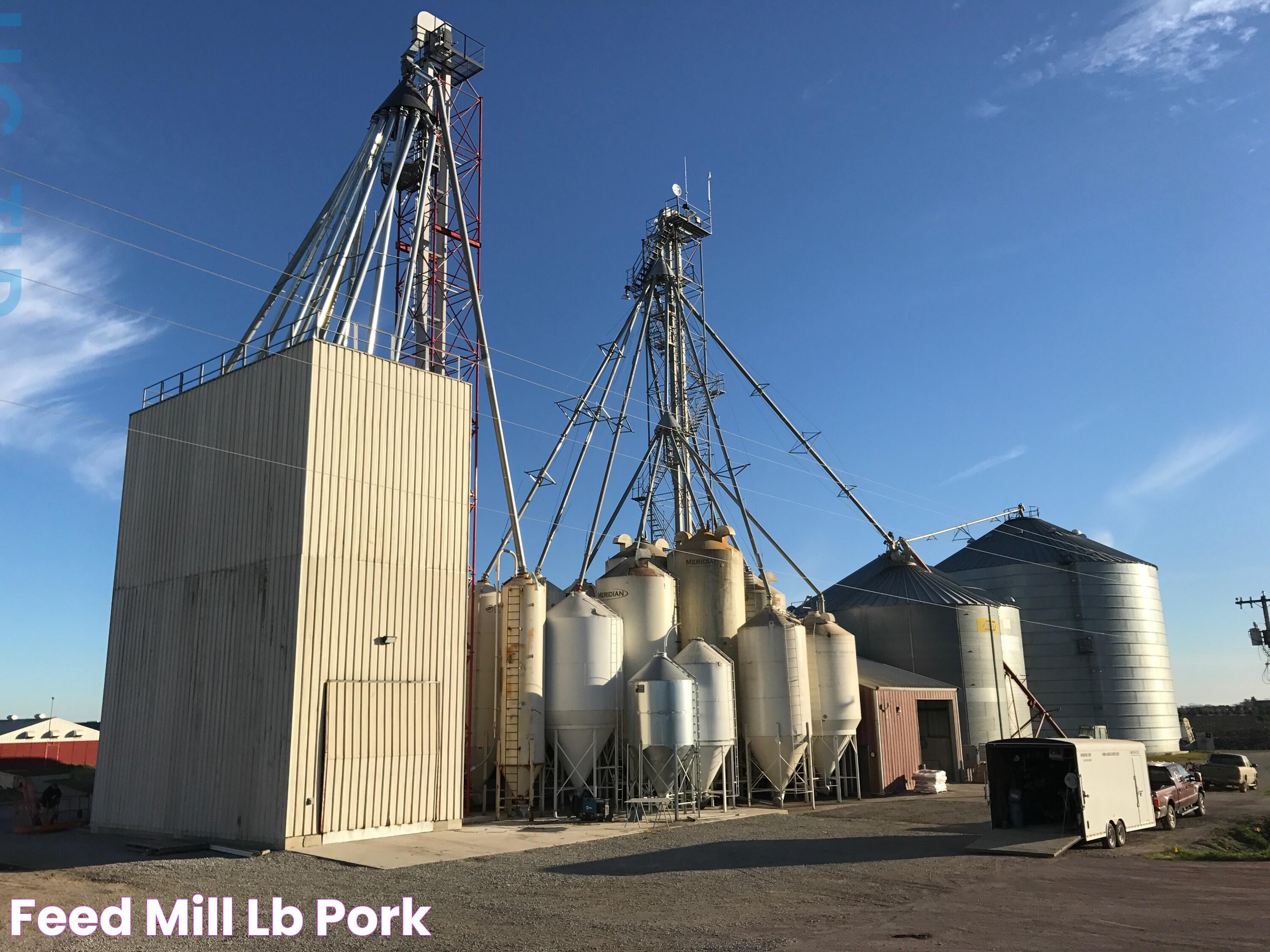 Optimized Feed Mill Operations: A Guide To Efficiency And Sustainability